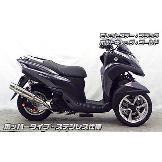 立体ロゴ　ブラック　黒　S ウイルズウィン トリシティ125 トリシティ125用 アニバーサリー