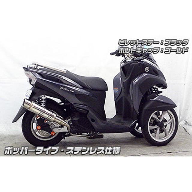 立体ロゴ　ブラック　黒　S ウイルズウィン トリシティ125 トリシティ125用 アニバーサリー