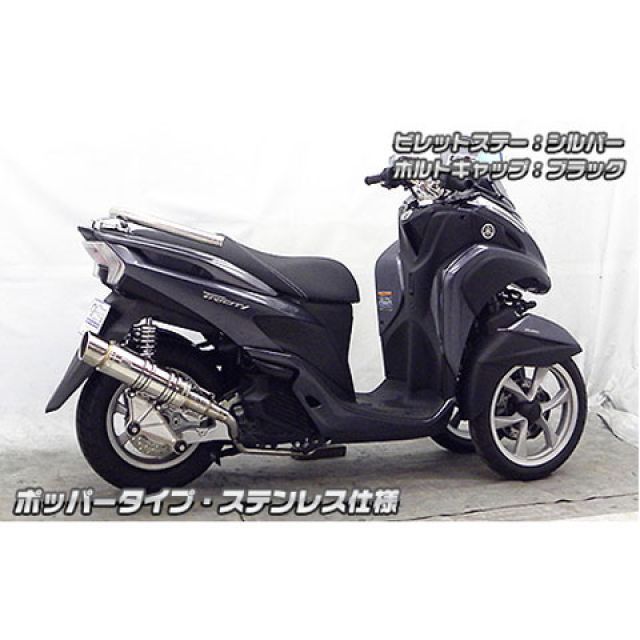 ウイルズウィン トリシティ125 トリシティ125用 アニバーサリー