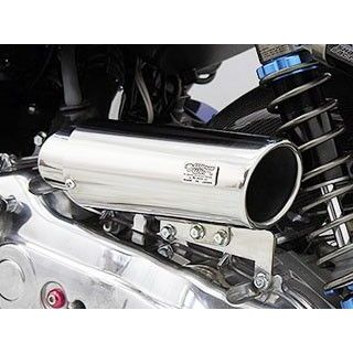 ウイルズウィン BW’S125 BW’S125用 キャリパータイプ エアクリーナーキット WirusWin