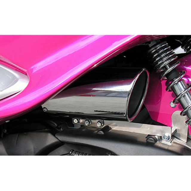 ウイルズウィン マジェスティ125（キャブレター仕様車） マジェスティ125用 キャリパータイプエアクリーナーキット WirusWin