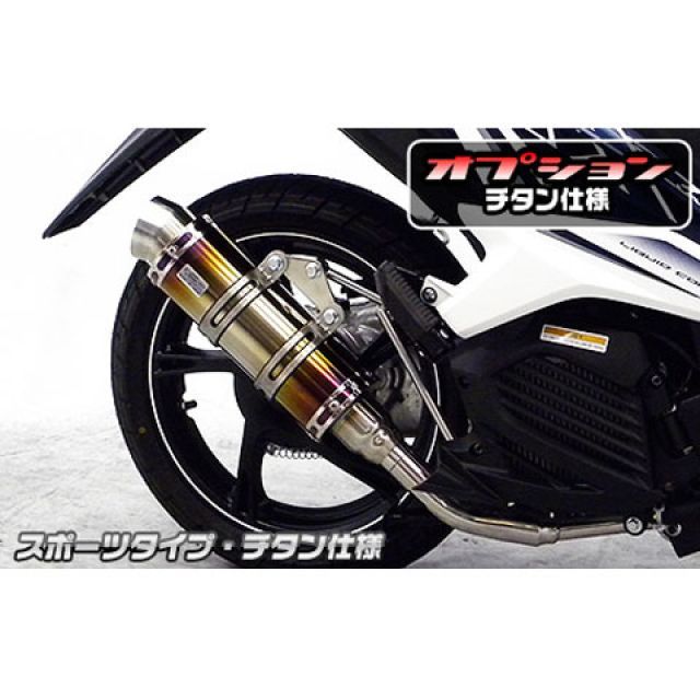 ウイルズウィン Mio125i/125RR（タイ） Mio125i/125RR用 ロイヤルマフラー スポーツタイプ オプション オプションB＋D W…
