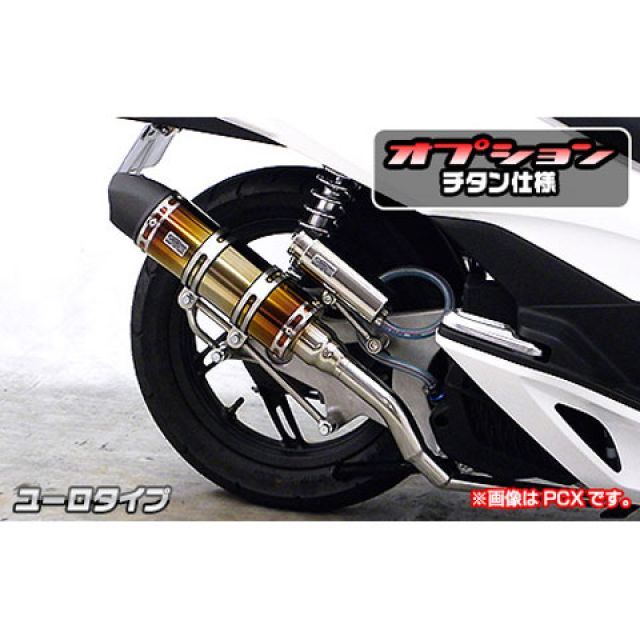 ウイルズウィン アドレス110 アドレス110（CE47A）用 ロイヤルマフラー ユーロタイプ オプション オプションB＋D WirusWin バイクの通販は