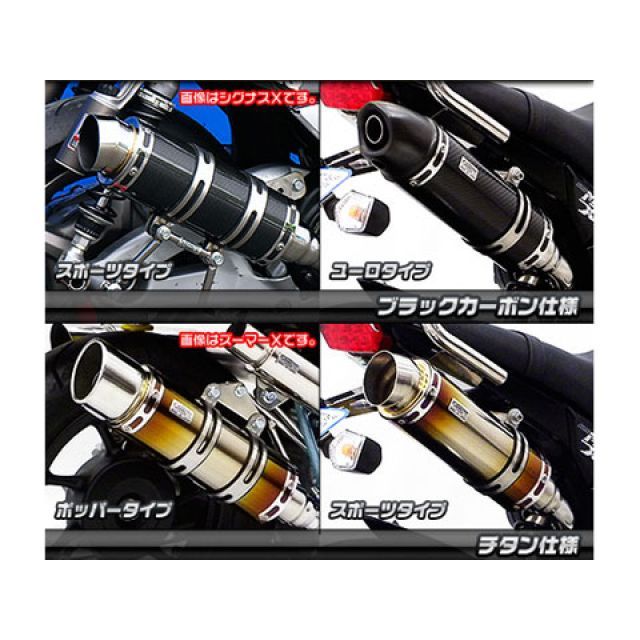 ウイルズウィン グロム/MSX125（1型） グロム/MSX125（1型）用 ロイヤルマフラー スポーツタイプ（スリップオン） オプション なし W…_5