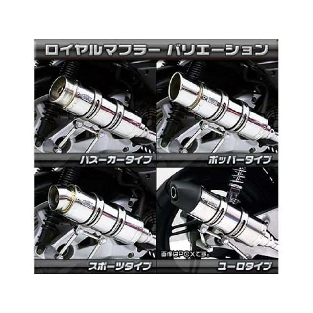 ロイヤルマフラー スポーツタイプ チタン仕様 ウイルズウィン