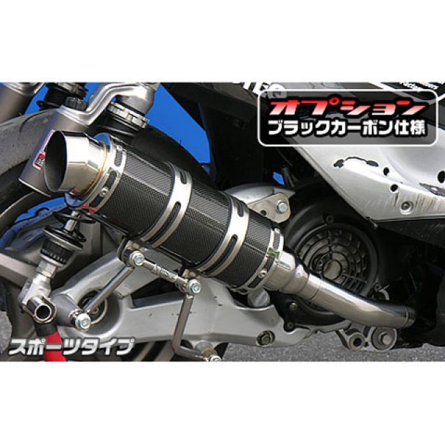 ウイルズウィン シグナスX（2型） シグナスX（2型/O2センサー装備）用