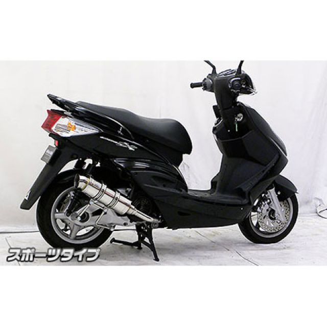 ウイルズウィン シグナスX（2型） シグナスX（2型/O2センサー非