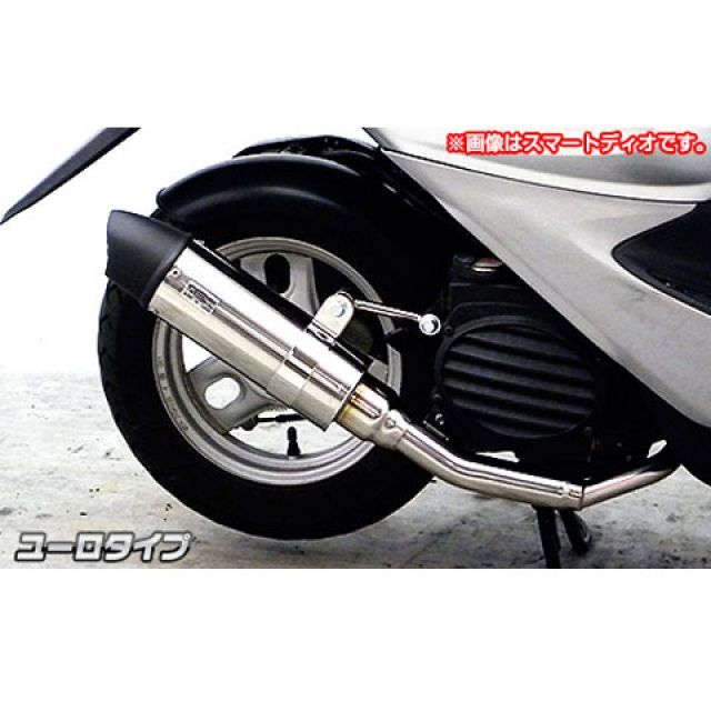 ウイルズウィン ディオ ディオ（AF62/68）用 ロイヤルマフラー ユーロタイプ WirusWin