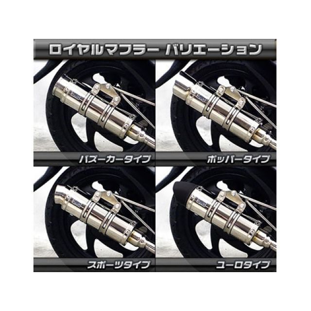 ウイルズウィン ディオ110 ディオ110（JF58）用 ロイヤルマフラー