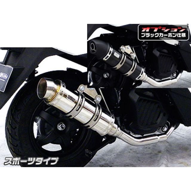 ウイルズウィン リード125 リード125（JF45）用 ロイヤルマフラー スポーツタイプ オプション オプションC WirusWin バイク