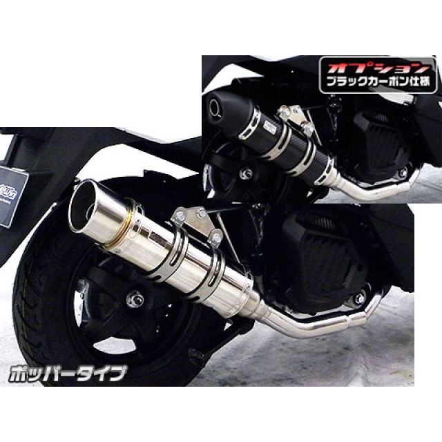 専用商品 楽天市場】WIZH ウィズ BEV2 バックステップ ZX-10R (11-15