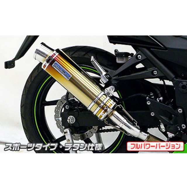 ウイルズウィン Ninja250R Ninja250R（JBK-EX250K）用スリップオンマフラー スポーツタイプ フルパワーバージョン サイレン…