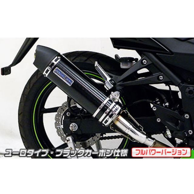 ウイルズウィン Ninja250R Ninja250R（JBK-EX250K）用スリップオンマフラー ユーロタイプ フルパワーバージョン サイレンサ…