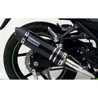 ブロマイド ウイルズウィン Ninja250R Ninja250R用ダイナミックマフラー