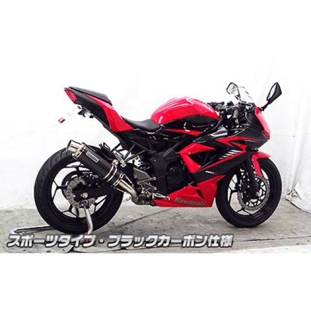 ウイルズウィン Ninja250SL Ninja250SL用 スリップオンマフラー