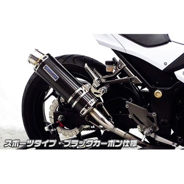 市場】ウイルズウィン Ninja250R用ダイナミックマフラー ユーロ