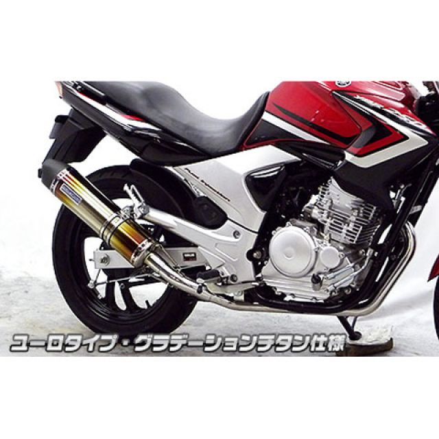 クレバーウルフ ZX-10R フレームカバー 材質 カーボン綾織