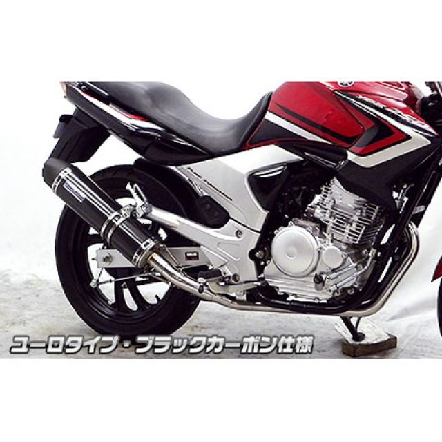 なます ウイルズウィン YBR250 YBR250（PCNLD）用 ダイナミックマフラー