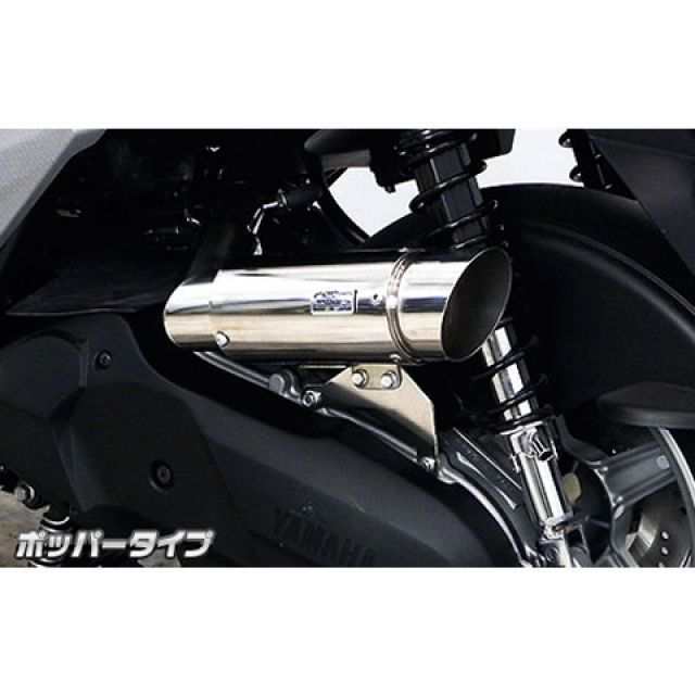 ウイルズウィン BW’S125 BW’S R125/BW’S125（EBJ-SEA6J）用 サイレンサー型 エアクリーナーキット ポッパータイプ W…