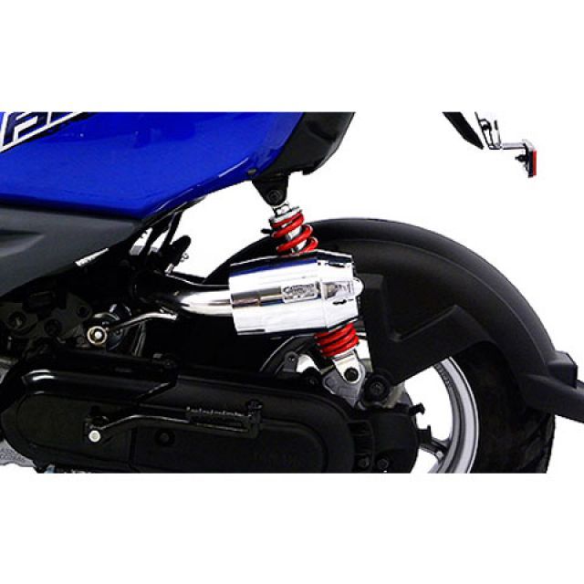 ウイルズウィン BW’S50 BW’S50用 ブリーズタイプ エアクリーナーキット カラー シルバーメッキ WirusWin_3