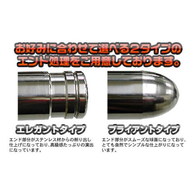ウイルズウィン TMAX TMAX530 TMAX530/TMAX用 バックホールドタンデムバー タイプ エレガントタイプ バックレストサイズ ラー…_2