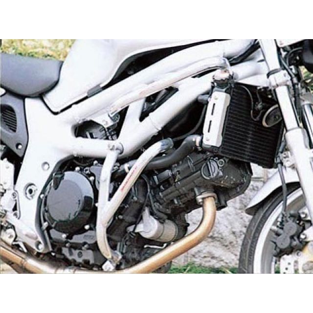 ゴールドメダル SV400/650 スラッシュガード フレーム＆エンジンセット カラー バフ仕上げ GOLD MEDAL バイクの通販は