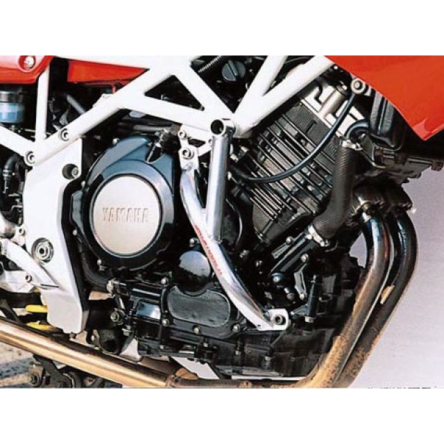 ゴールドメダル TRX850 スラッシュガード カラー シャンパンゴールド GOLD MEDAL バイクの通販は