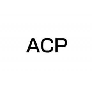 ACP GSX250E GSX250Eゴキ エルサウンド ショート管（メッキ） ACP