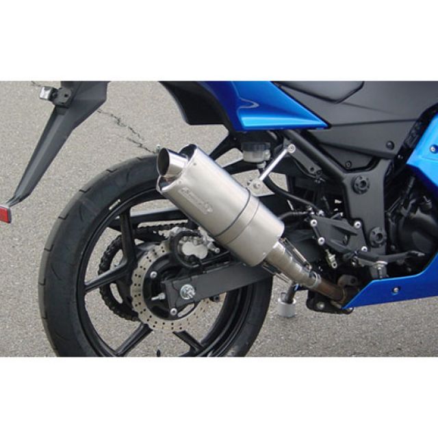 【メーカー直送】スーパーバイク Ninja250 Ninja250 S.P.L Type-Ov SuperBike