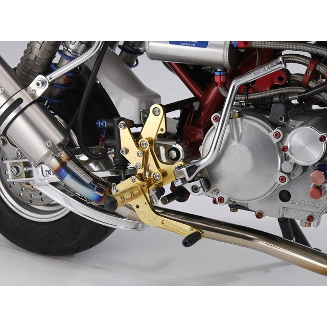 オーバーレーシング MONKEY バックステップ レーシングタイプ