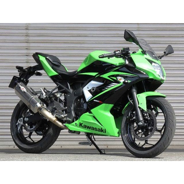 ビートジャパン Ninja250SL NASSERT Evolution Type II フル