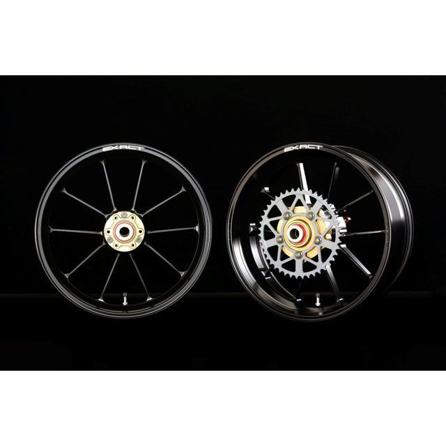 アドバンテージ ZX-9R ADVANTAGE EXACT II RACING 10 フル鍛造アルミホイール 350/600-17 カラー シルバー…の通販は