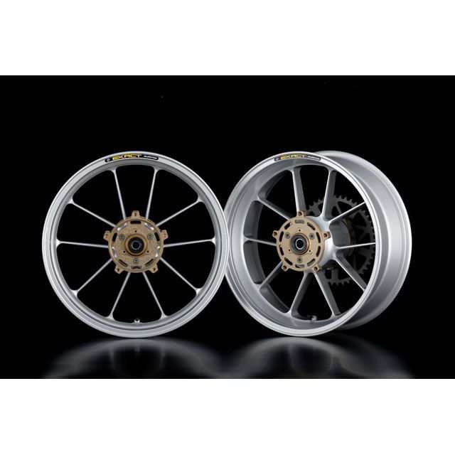 アドバンテージ ZX-9R ADVANTAGE EXACT II RACING 10 フル鍛造アルミホイール 350/600-17 カラー シルバー…の通販は