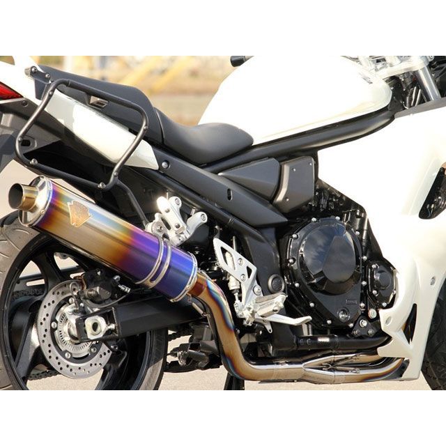 アールズギア BANDIT1250/1250S/1250F（国内仕様車） ワイバン フル