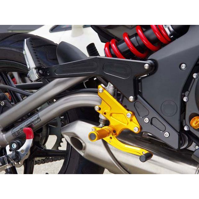ベビーフェイス Ninja650/ER6f/n タンデムブラケット カラー ゴールド BABYFACE バイクの通販は