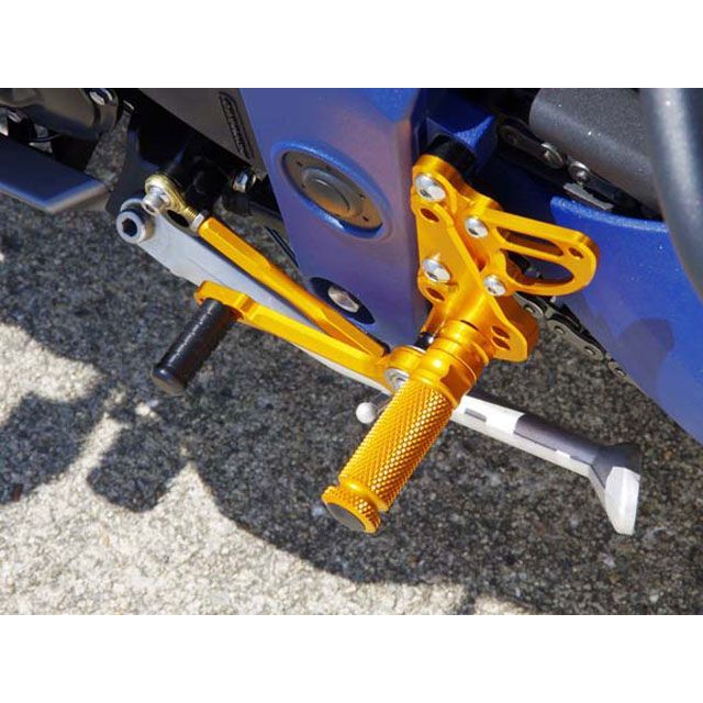 ベビーフェイス SPEED TRIPLE 1050 バックステップキット カラー ゴールド BABYFACE_3