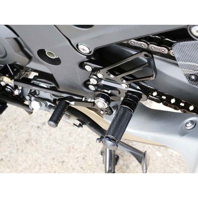 ベビーフェイス ZX14R バックステップキット 仕様 リバース