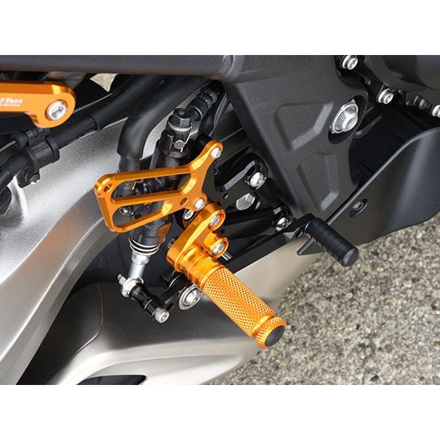 ベビーフェイス ZX14R バックステップキット 仕様 ノーマル カラー