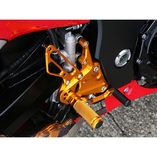 ベビーフェイス GSX-1300 HAYABUSA バックステップキット カラー