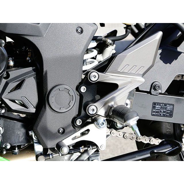 ベビーフェイス Ninja250SL セットバックプレート BABYFACE