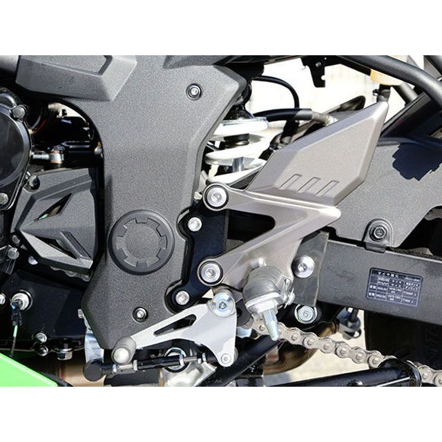 ベビーフェイス Ninja250SL セットバックプレート BABYFACE