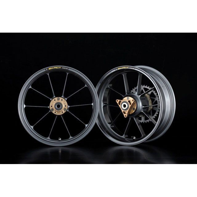 アドバンテージ VTR1000F ADVANTAGE EXACT RACING 10 フル鍛造マグネシウームホイール（ガンメタ：350/550-17…