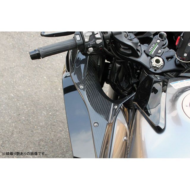 SPEEDRA Ninja H2 SX Ninja H2 SX SE インナーサイドカバー 左右セット