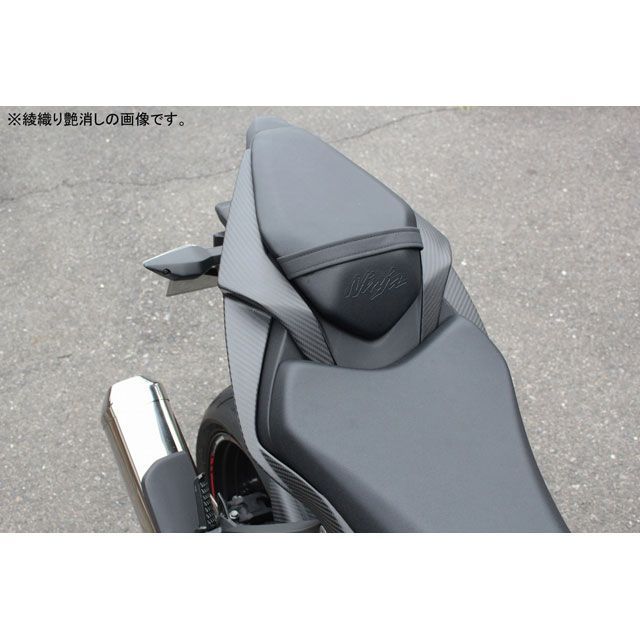SPEEDRA ZX-6R テールサイドカバー 左右セット ドライカーボン