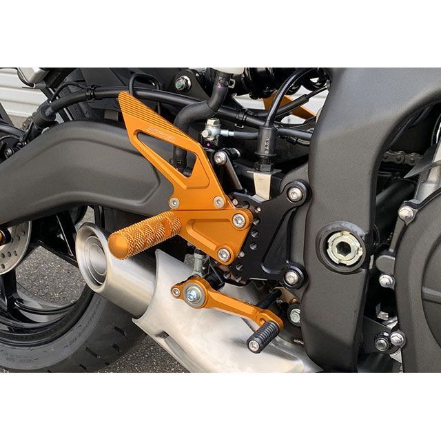 スナイパー NINJA ZX-25R NINJA ZX-25R ストリート用 バック