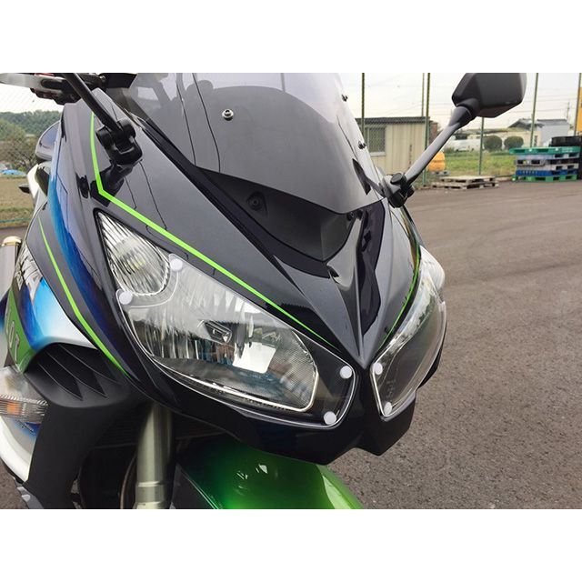 アクリポイント Ninja1000 ライトシールド（クリアー） ACRY-Point
