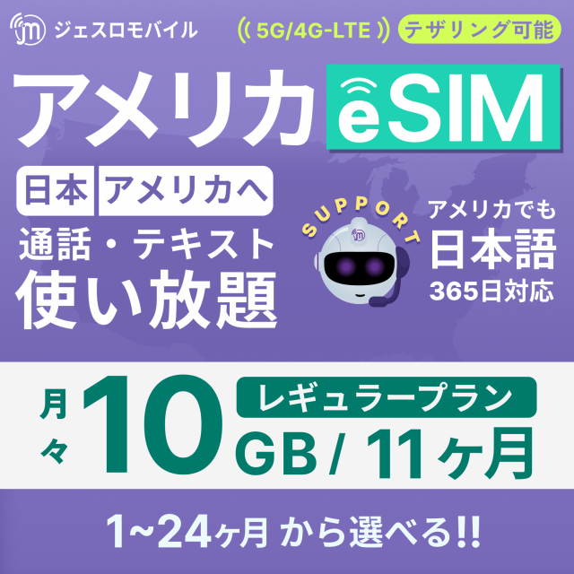 e-SMP35-11 プリペイドSIM