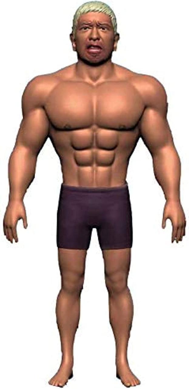 吉本興業 ダウンタウンのガキの使いやあらへんで！ ダウンタウンのガキ使ソフビ人形 おもしろマッチョ人形の通販は