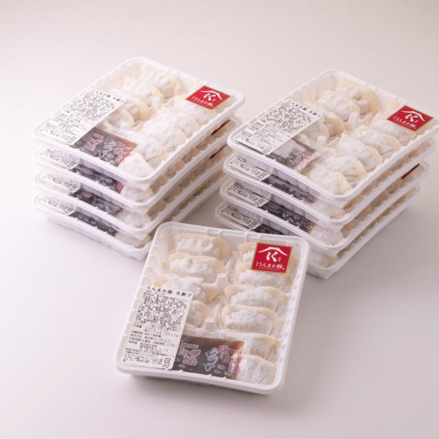 送料無料 肉の寺師 鹿児島うんまか豚生餃子(計108個・12個入り×9P・タレ付) 鹿児島 ご当地 グルメ ギフト プレゼント お取り寄せ 特産品 産地直送    の通販は 6,950円