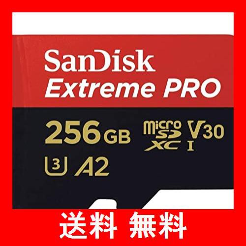 SANDISK  SDSQXCD-256G-GN6MA [256GB]